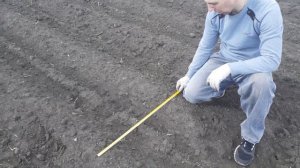 Прополка картофеля полольниками-рыхлителями с помощью мотоблока!