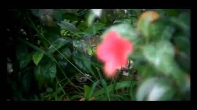 sony hc9 DOF Tested смотреть онлайн