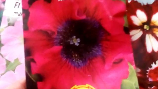 Азофоска супер удобрения ! Результат через два дня ! ???