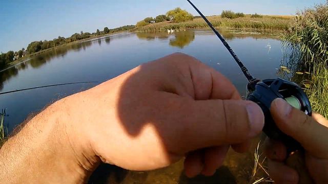 Большие покидушки ALDEBARAN 22 BFS; ALDEBARAN 16 bfs avail; Daiwa STEEZ Air TW; Alphas Air TW KKR. смотреть онлайн
