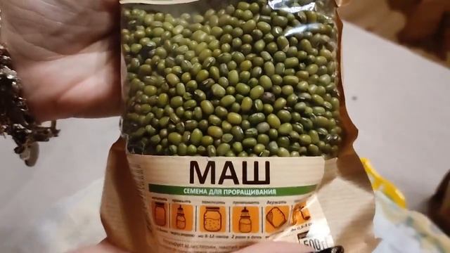 Как правильно проращивать семена ? Вкусно и полезно! смотреть онлайн