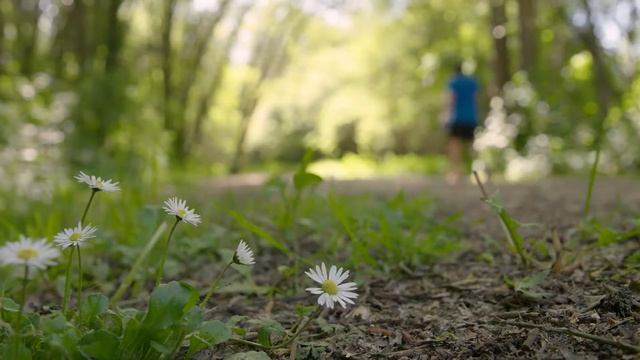 Vitoria-Gasteiz, Be Green: A city embraced by nature смотреть онлайн