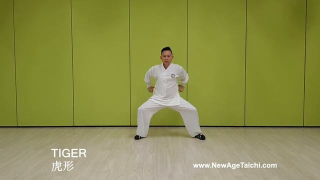 Wudang Five Animals Qi Gong 武当五行气功