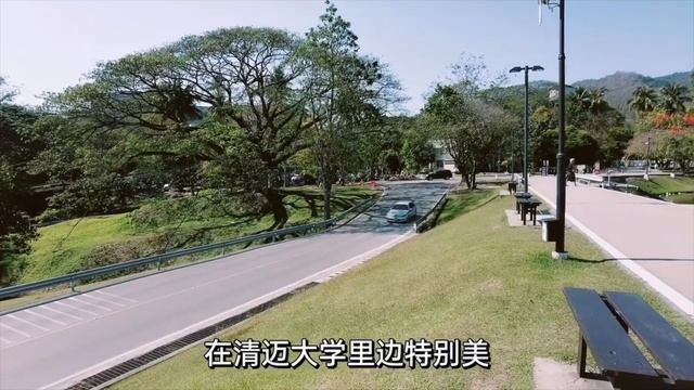 5年旅居清邁的我吐血整理的10大好玩地｜清邁自由行、騎行攻略 смотреть онлайн