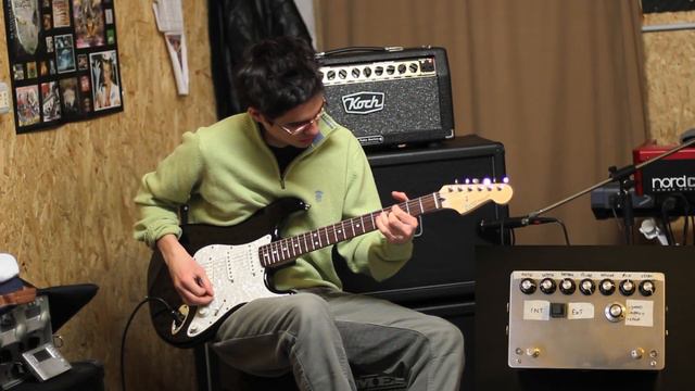 Flashback ( BBD Analog Delay ) by Soundwave Design - 01 смотреть онлайн