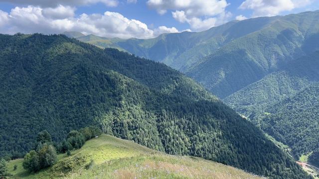 Природа 27-08-2024 смотреть онлайн