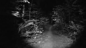 Страшные истории про лес тайгу и нечисть 17 Олег Ли Zvook