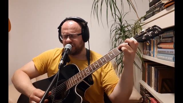 По снегу, летящему с неба (А.Я. Розенбаум) кавер смотреть онлайн