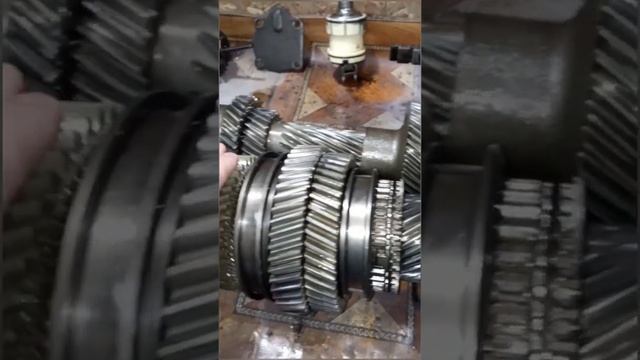 Квартирные метаморфозы