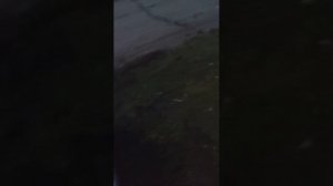 глохнет на холодную, 126 мотор приора .часть 2