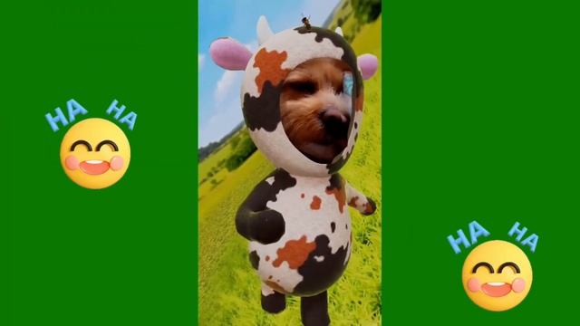 Let's play a game смотреть онлайн