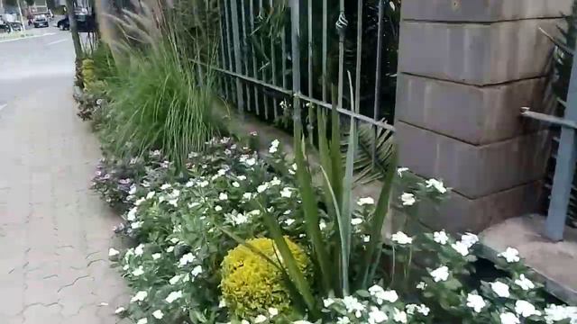 Let's Go Places Kenya. Upperhill, Nairobi On The 1st Of February 2024.