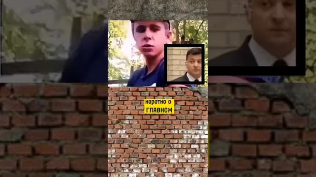 О Зеленском смотреть онлайн