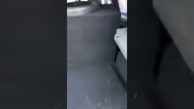 Установили саб феникс 15 дюймов и усилитель грифон 1,3200 и все это DL AUDIO смотреть онлайн