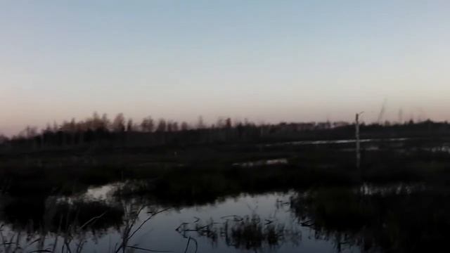 Осенняя Мещёра. Путь на утиную охоту. смотреть онлайн
