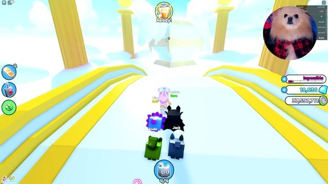 НОВЫЕ ПИТОМЦЫ В РОБЛОКС | СИМУЛЯТОР ПИТОМЦЕВ В ROBLOX смотреть онлайн