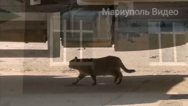 Мариуполь сегодня Новые Дома на Кирова 2.12.22 Ещё одна стройка смотреть онлайн