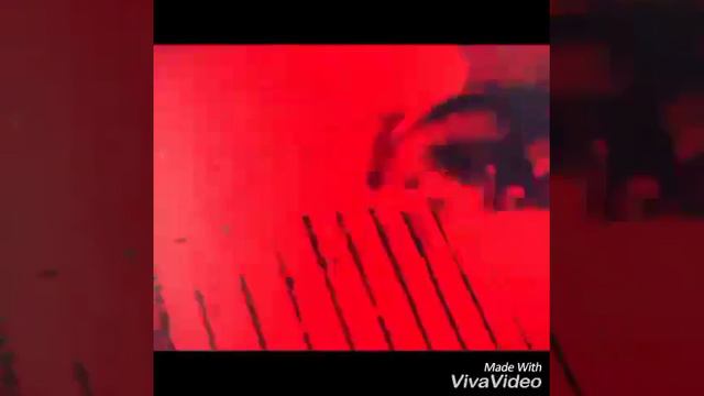 Паркур хомяков смотреть онлайн