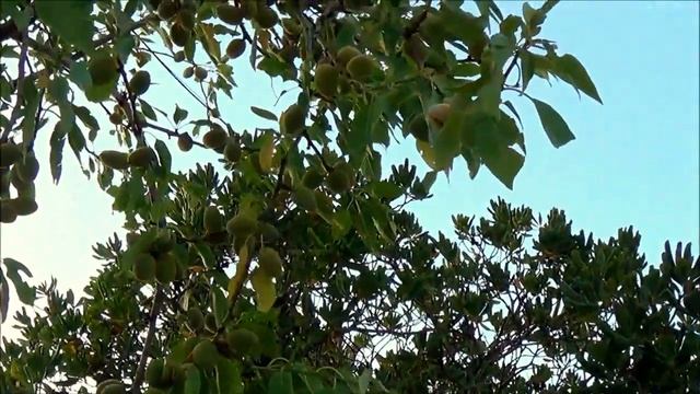 Греция, Лутраки Монастырь Св.Иоанна! смотреть онлайн