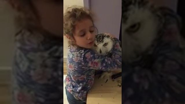 Девочка и домашняя сова смотреть онлайн