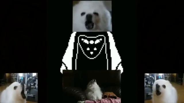 Undertale OST Dog Sourced смотреть онлайн