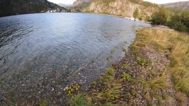 Сегодня была хорошая рыбалка.Я поймал Морскую Форель и много Сумбрии смотреть онлайн