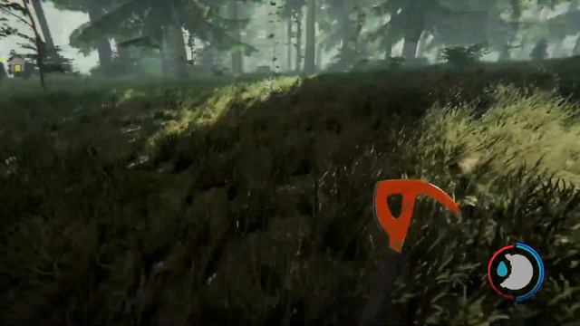 The Forest #2 смотреть онлайн