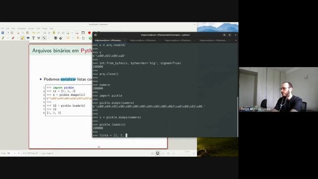 [Python] Aula 15.10 - Arquivos binários e o módulo pickle смотреть онлайн