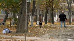 Человеку плохо - социальный эксперимент в Мариуполе