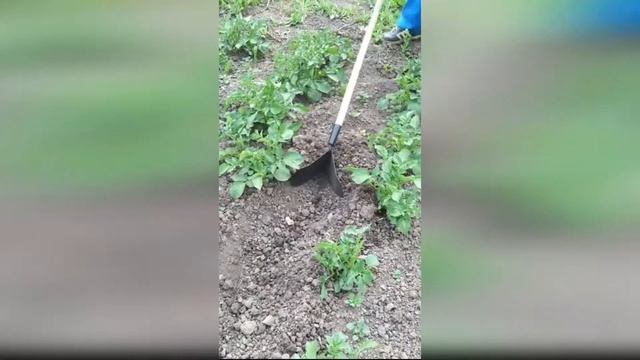 Ручной окучник с черенком смотреть онлайн