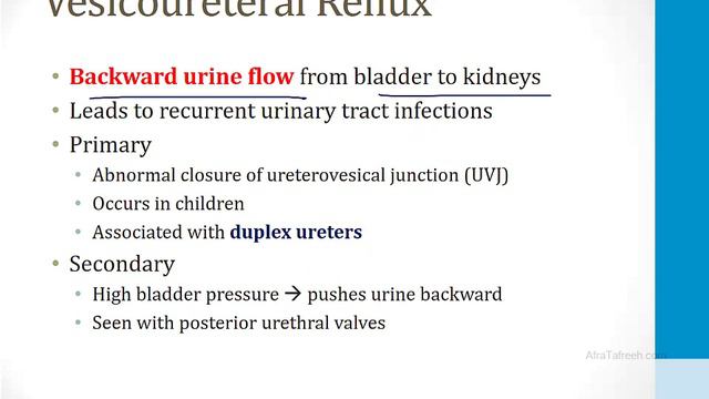 Renal - 1. Embryology, Anatomy and Physiology - 1.Renal Embryology atf смотреть онлайн