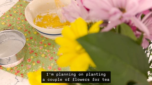 Spring Home Reset and Self-Care Day ? The family is growing • Slow Living Vlog смотреть онлайн