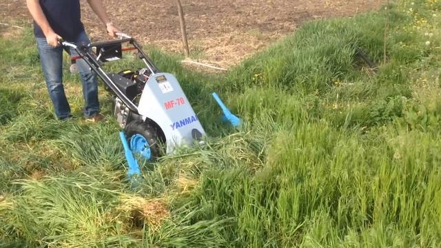 MF 70 DIESEL KASZÁLÁS FACSEMETÉSBEN смотреть онлайн