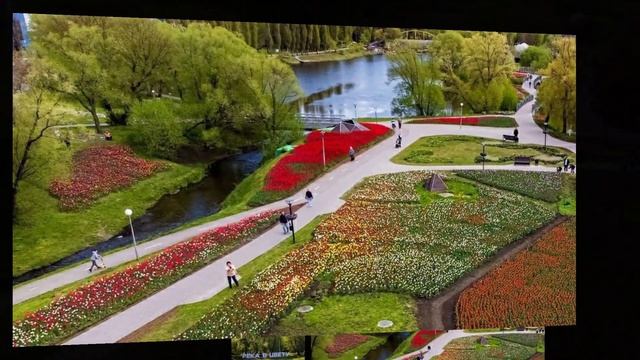 С праздником, любимый город ❤️ Белгород ❤️ смотреть онлайн