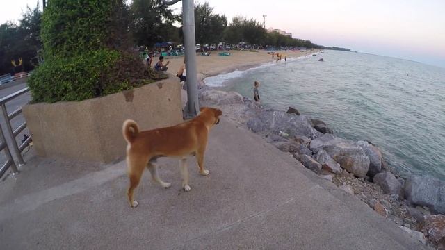 Cha Am Ча Ам Пхетчхабури Таиланд