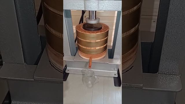 Сыродавленное масло "Маслёна" ( тыквенная семечка , в Новороссийске) смотреть онлайн