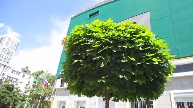 Ростов-на-Дону. Ул. Мечникова. Угол Соборного. Ломбард. Фонтан. Джазовые музыканты. Райский уголок. смотреть онлайн