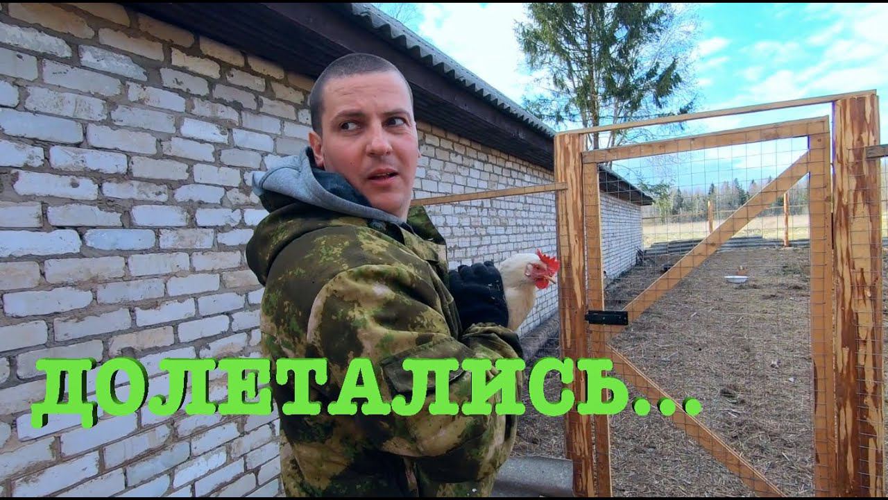 #51. Обрезаем курам крылья. Делаем теплые грядки. [Жизнь на своей земле] смотреть онлайн