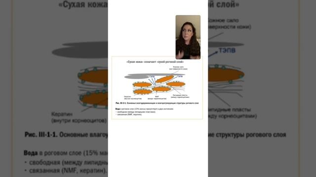 ЗАЩИТНЫЙ БАРЬЕР. СУХАЯ КОЖА. ЛАМЕЛЛЯРНЫЕ ЭМУЛЬСИИ смотреть онлайн