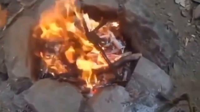 Убойная школа выживания. Дом за 1 день. смотреть онлайн