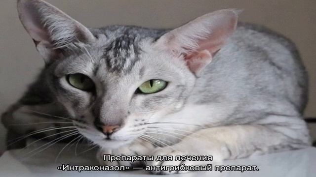 Искусство и Технологии Творчества