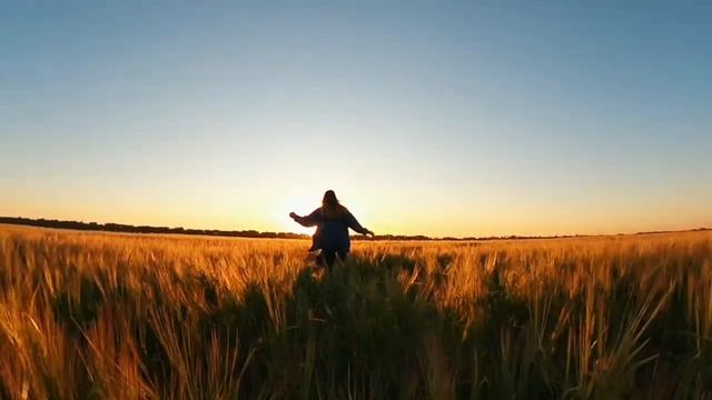 Авентадор (KMK's Rocky Balboa), Aventador, прогулка, бе ,рожь