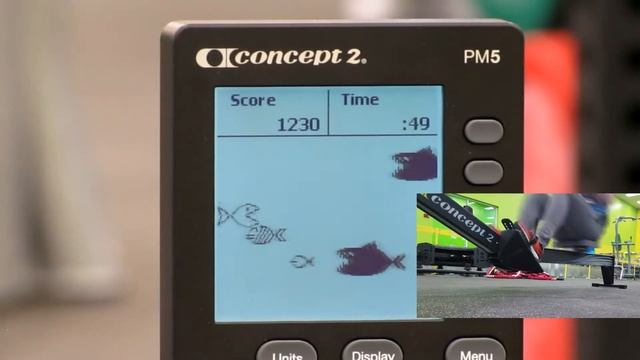 Concept 2 | Fish Game | Givaway смотреть онлайн