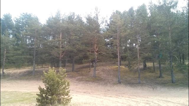 Побережье Финского залива смотреть онлайн