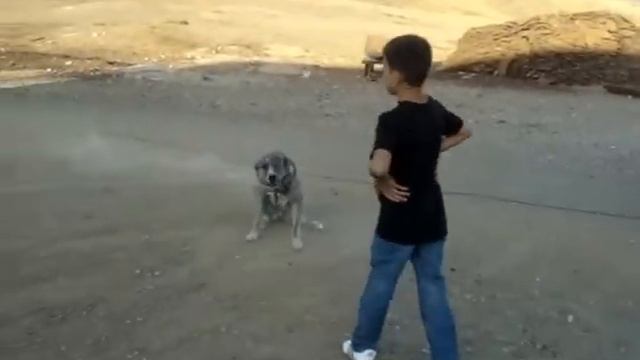 Зимовка в Джамбульской области (Тараз) смотреть онлайн