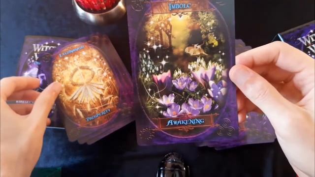 ORACLE WITCHES WISDOM - Barbara Meiklejohn-Free & Flavia Kate Peters смотреть онлайн