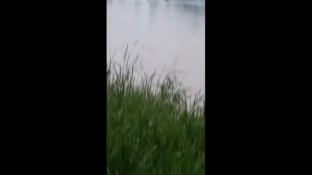 Моторная лодка показала дно окружающим смотреть онлайн