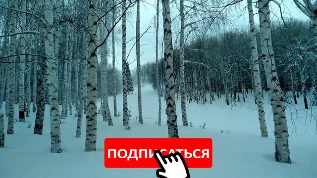 Алтайские Альпы-начало путешествия. Зимняя сказка. Спортсмены на снежных склонах. смотреть онлайн