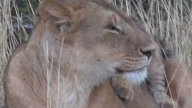 Зоопарк в городе