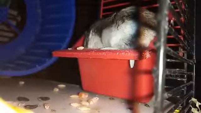 И... где еда, я Вас спрашиваю смотреть онлайн